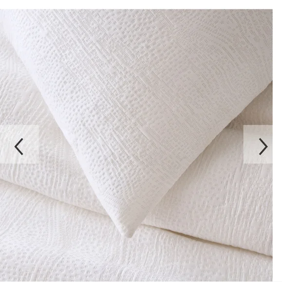 West Elm Silky TENCEL™ & Cotton Matelasse shams Euro Standard +Queen Duvet Cover - Picture 3 of 11